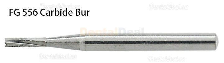 10Pcs FG 556 557 558# Carbide Burs Straight Fissure Head Dental Friction Grip